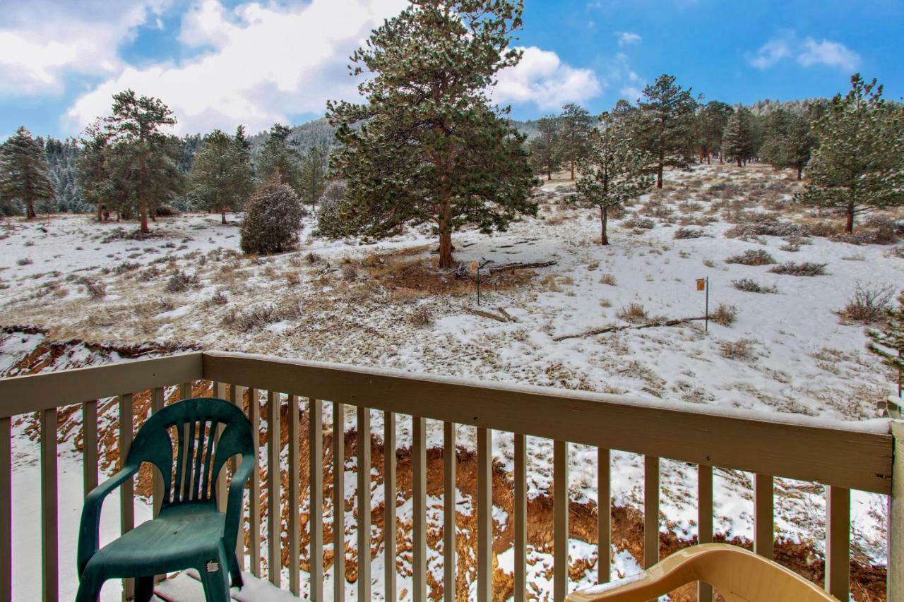 Camelot On Deer Mountain - Permit #3109 Διαμέρισμα Έστες Παρκ Εξωτερικό φωτογραφία