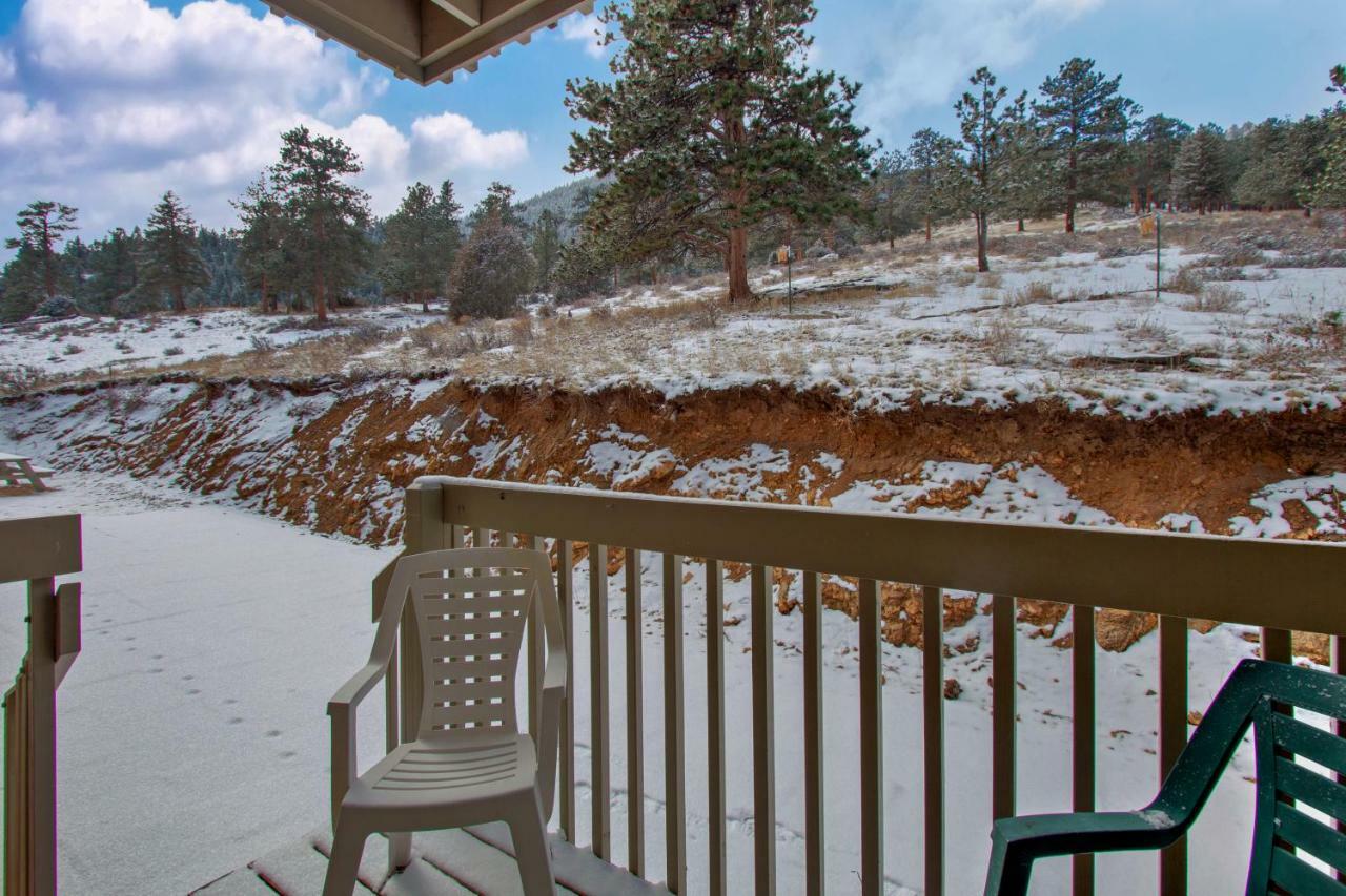 Camelot On Deer Mountain - Permit #3109 Διαμέρισμα Έστες Παρκ Εξωτερικό φωτογραφία